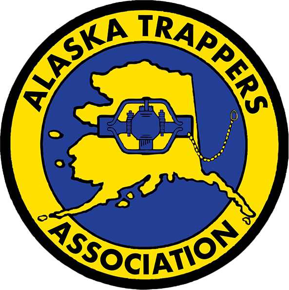 small logo ATA